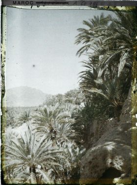 Image représentant Palmeraie avec au fond, le Djebel Grouz