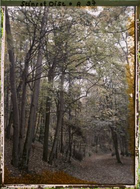 Image représentant Une allée du parc