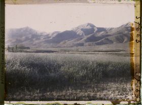 Image représentant Paysage