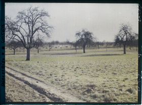 Image représentant France, Les Clayes, Champ non labouré