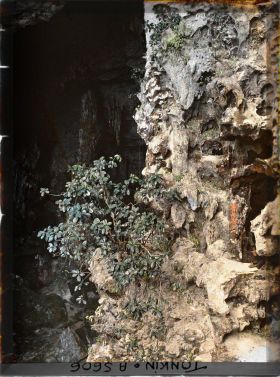 Image représentant L'intérieur de la " Grotte des Merveilles ", près de l'entrée