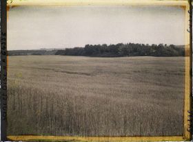 Image représentant Ile de France, Vallangoujard, Champ de blé