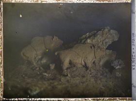 Image représentant La grotte du Tuc d'Audoubert : les bisons