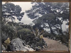 Image représentant Jardin divers