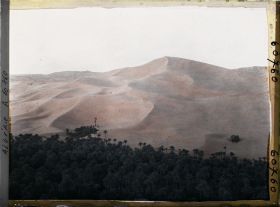 Image représentant L'oasis au pied du Grand Erg