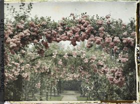 Image représentant Arches de roses sur l'axe central du verger-roseraie vu vers le rond-point proche de la dépendance