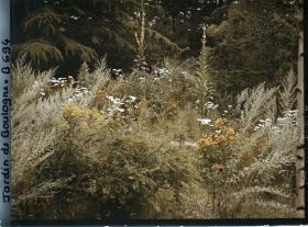 Image représentant La prairie