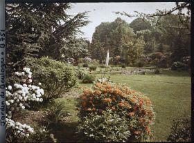 Image représentant Viorne et azalée en fleurs près du marais ourlé d'arbustes colorés, vues en direction du nord