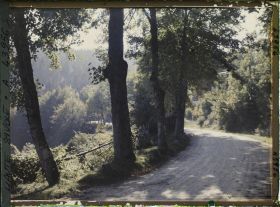 Image représentant La route de La Cure à Saint-Cergue