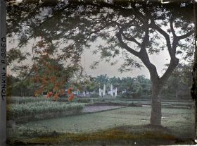 Image représentant Un paysage rural aux abords du village de papier, au premier plan un flamboyant en fleurs, à l'arrière-plan un temple (?)