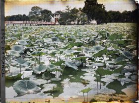 Image représentant Le temple Ngoc-so'n (appelé par les Européens "Pagode des Pinceaux"), situé sur "l'île de Jade" du Petit Lac couvert de lotus