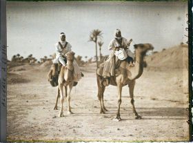 Image représentant Méharistes sahariens