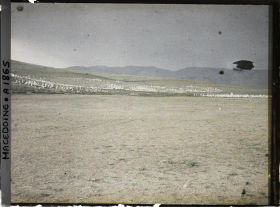 Image représentant Cimetière turc de Gazi Baba