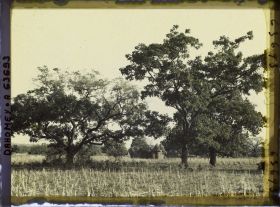 Image représentant Paysage et tatas (cases)  " sombas "