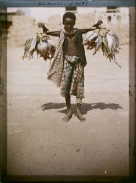 Image représentant Jeune marchand de poisson