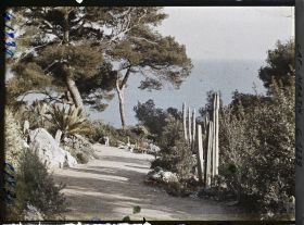 Image représentant le Jardin