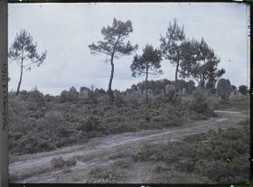 Image représentant Les alignements de menhirs de Kerlescan