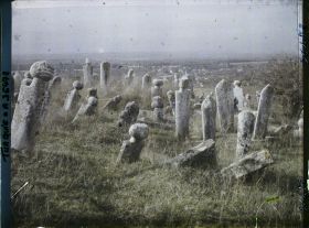 Image représentant Cimetière musulman (tombes et colonnes funéraires plantées sur une surface herbeuse)