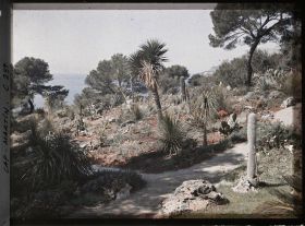 Image représentant Cap-Martin - Le Jardin