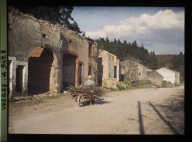 Image représentant Saint-Benoist et pins derrière les ruines