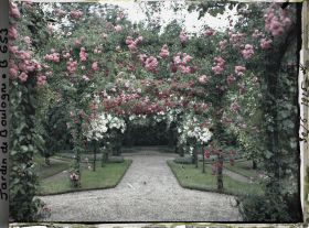 Image représentant Axe central du verger-roseraie vu depuis le second carrefour avant la dépendance