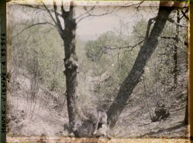 Image représentant L'ancienne fosse de mine aurifère Champvert