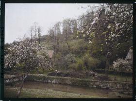 Image représentant Pommiers sur la route de Deauville