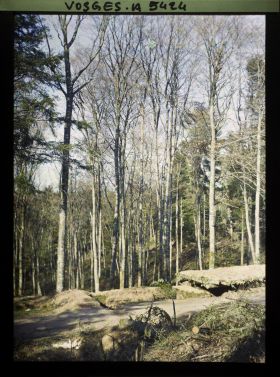 Image représentant Tranchées-abris au col de la Chipotte