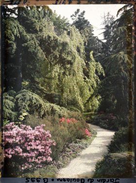 Image représentant Azalées et grands arbres bordant un chemin proche du torii et des ponts du " sanctuaire japonais "