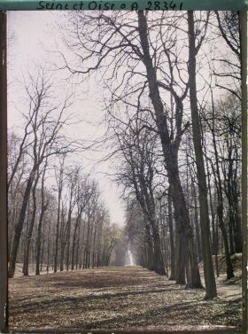 Image représentant Une allée dans le parc