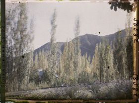 Image représentant Afghanistan, Kaboul, Jardin du Palais du Roi - Vue vers les Montagnes de Paghman