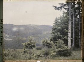 Image représentant France, Le Donon, Une vue de la Vallée de la Celles