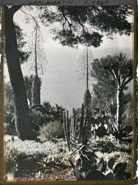 Image représentant le jardin