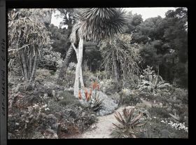 Image représentant Le Jardin