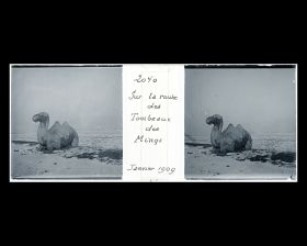 Image représentant Ming Shisanling ("Treize Tombeaux des Ming"). L'un des deux chameaux assis de l'allée des statues