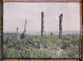 Image représentant France, La Maisonnette, Aspect de l'emplacement du domaine de la Maisonnette