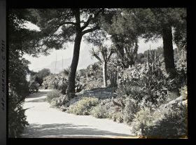 Image représentant le Jardin vue vers Mte Carlo