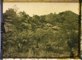 Image représentant Paysage en montagne