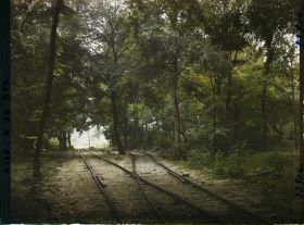Image représentant France, Forêt de Compiègne, Voie du Chin de fer dans la forêt