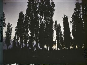 Image représentant Turquie, Constantinople, Soleil Couchant au Cimetière de Teckfour- Seraï