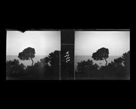 Image représentant La mer vue depuis le jardin de la villa Kahn