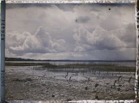 Image représentant Site palafittique préhistorique des Alpes, pieux en bois visibles lors de la baisse des eaux après la grande sécheresse de 1921