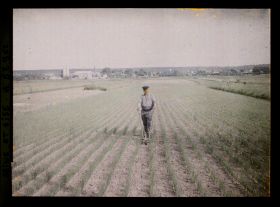 Image représentant Ile de France, Poissy, Champ de poireaux