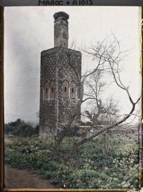 Image représentant Minaret de la mosquée du Chellah