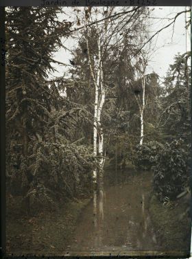 Image représentant inondation en bordure de la forêt bleue et de la forêt dorée