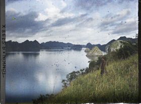 Image représentant Vue sur la baie, prise en haut d'un rocher