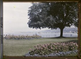 Image représentant Le Jardin anglais et le Léman