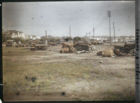 Image représentant Espagne, La Corogne, Les attelages de Bœufs des Docks du Port de la Corogne