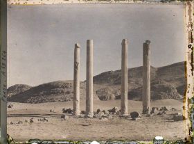 Image représentant Vestiges de colonnes de l'Apadana (hall d'audience de Darius 1er, fin du VIe siècle avant J.-C.)