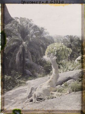 Image représentant Paysage de montagne